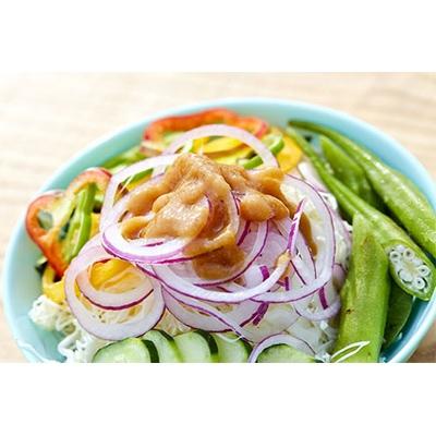 ふるさと納税 京丹後市 オーガニック野菜セット調味料2種セット(やさいドレッシング、京都いわし醤油)