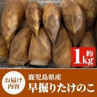 鹿児島県産 早掘りたけのこ(約1kg) 国産 野菜 たけのこ タケノコ 筍 旬 煮物 水煮 天ぷら つくだ煮 期間限定 7-17