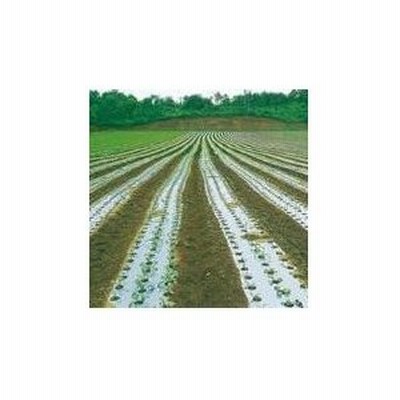 農業用マルチシート　防虫シルバー　長さ200m×厚さ0.023mm×幅95cm　３本セット