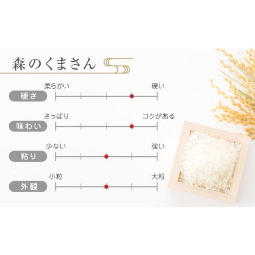 ふるさと納税 熊本県 山鹿市   森のくまさん 白米 10kg(5kg×2袋) 定期便 10kg 白米 精米 森のくまさん …