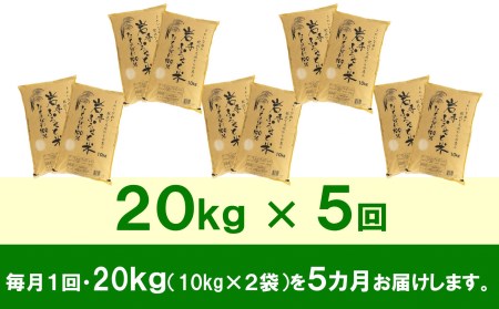 3人に1人がリピーター!☆全5回定期便☆ 岩手ふるさと米 20kg(10kg×2)×5ヶ月 令和5年産 新米 一等米ひとめぼれ 東北有数のお米の産地 岩手県奥州市産 [U0176]