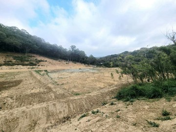 降價苗栗通霄農牧用地▲看見800株芭樂遇見山嵐的美｜苗栗縣通霄鎮楓樹窩段