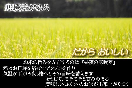 福井県産 いちほまれ ＆ コシヒカリ 計10kg