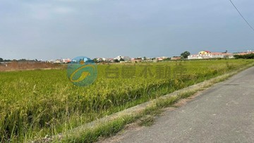 官田都市計畫的都農｜台南市官田區八田段