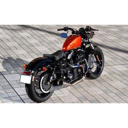 Harley-Davidson DLIVE ストリートライン チタンヒートカラー