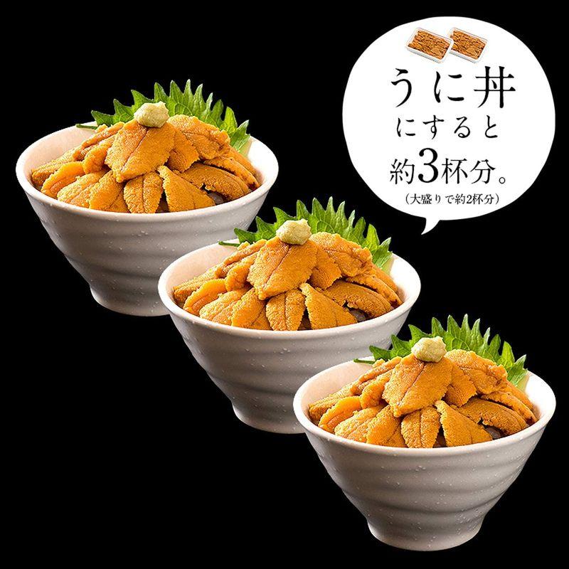 港ダイニングしおそう 雲丹 200g（100g×2パック）チリ産うに 無添加 ミョウバン不使用