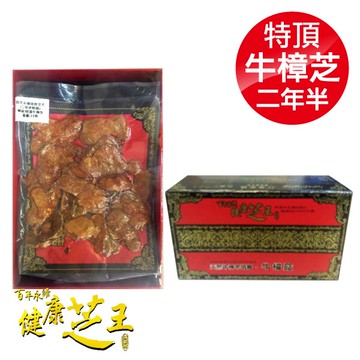百年永續健康芝王 (兩年半乾燥) 特頂牛樟芝 11g x1兩 (母親節禮盒 長輩 送禮 伴手禮)專品藥局【2012418】