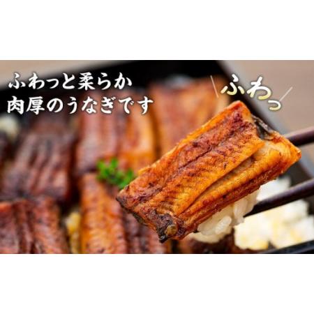 ふるさと納税 うなぎ割烹 力「職人手焼き蒲焼＆白焼き」セット１４０ｇ 山梨県富士河口湖町