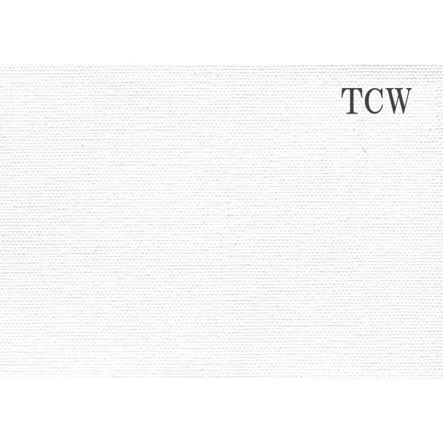 画材 油絵 アクリル画用 カットキャンバス 綿化繊 水彩用 TCW (F,M,P)6号サイズ 10枚セット