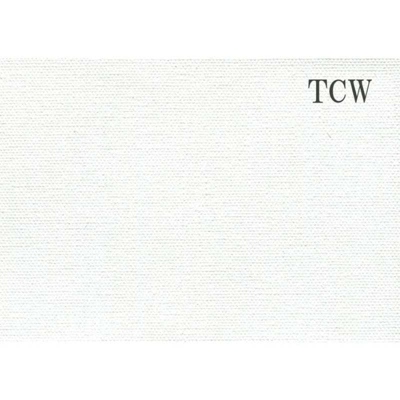 画材 油絵 アクリル画用 カットキャンバス 綿化繊 水彩用 TCW S10号
