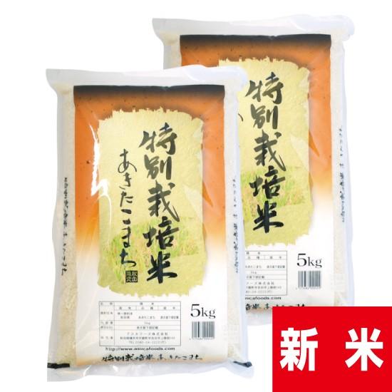 令和5年産 新米 米農家の店長が選ぶ 秋田 県南 あきたこまち 特別栽培米 10ｋｇ 送料無料