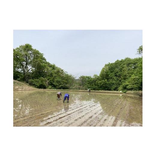 ふるさと納税 長野県 飯綱町 米 こしひかり 5kg × 12回 令和5年産 ファームトヤ 沖縄県への配送不可 2023年10月上旬頃から順次発送予…