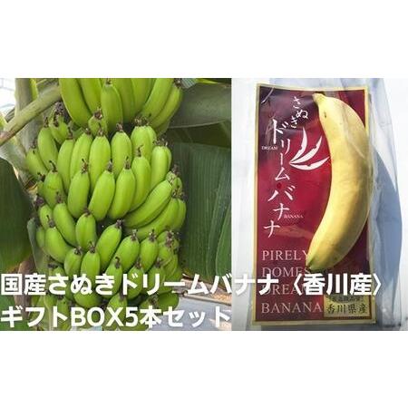 ふるさと納税 国産さぬきドリームバナナ〈香川産〉ギフトBOX5本セット 香川県宇多津町