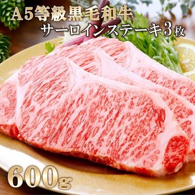 ふるさと納税 枕崎市 鹿児島県産A5等級黒毛和牛サーロインステーキ3枚(600g) DD-98