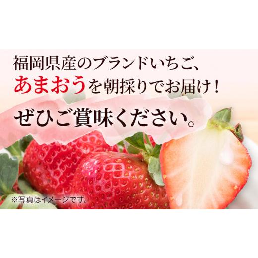 ふるさと納税 福岡県 田川市 農家直送 朝採り新鮮いちご [(約270g)×2パック]＜2023年12月以降順次出荷予定＞