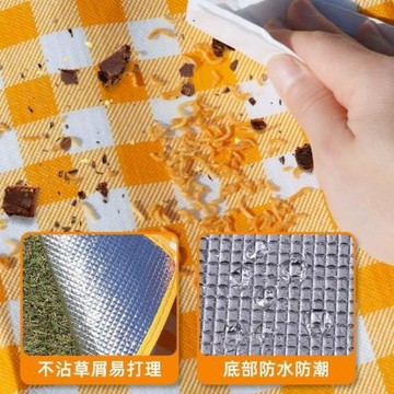 彩膜戶外防水野外露營加厚野炊草坪野餐春游宿舍墊子防潮地墊床墊