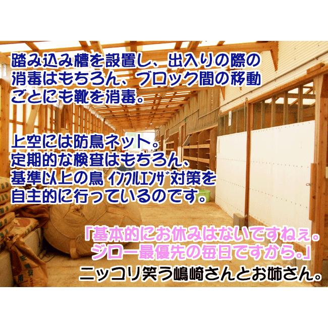 島崎ファーム 嶋﨑博子の土佐ジロー 土佐ジローたまご 6個入