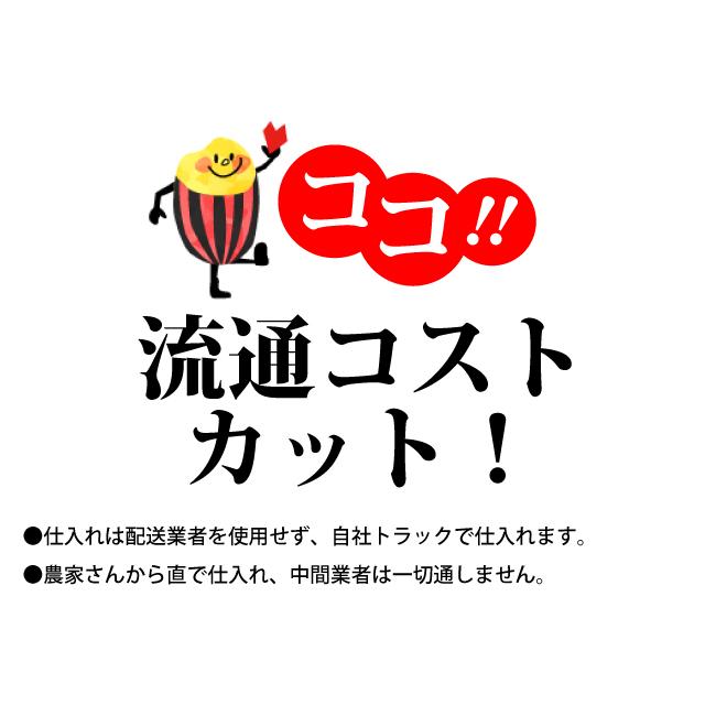 新米 令和5年 20kg こしひかり お米 米 5kg×4袋 埼玉県産 送料別