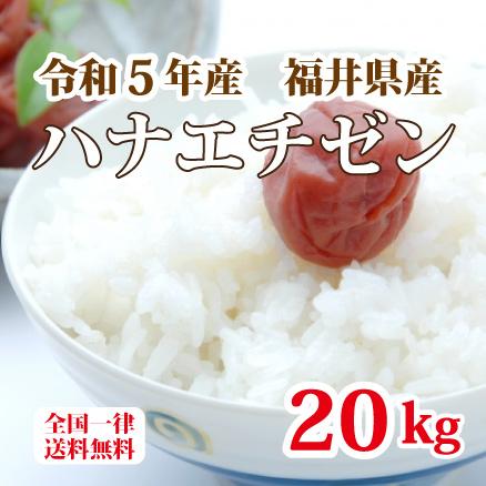 令和５年産 福井県産ハナエチゼン 20kg 白米 安い ５kg×4 ブランド米 単一原料米 送料無料