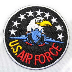 US AIR FORCE エアフォース ミリタリー コンドル 軍物 ワッペン アップリケ わっぺん wappen アイロンで簡単貼り付け