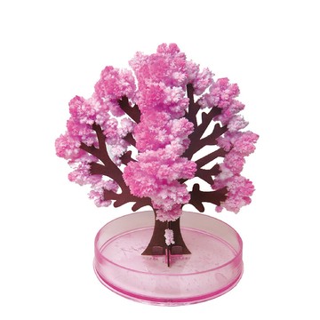 賽先生科學工廠 神奇櫻花(15cm)-獨家櫻花香