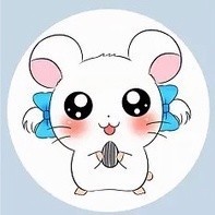 【非請勿拍】補單專拍鏈接【宅配】