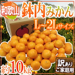 和歌山・有田産 ”鉢内みかん” 訳あり L～2Lサイズ 約10kg はちうちみかん 送料無料