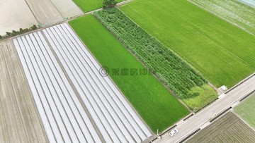 土庫台19線旁22米面寬好規劃農地｜雲林縣土庫鎮崙前段