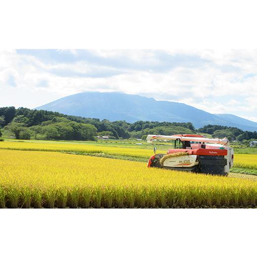 ふるさと納税 岩手県 八幡平市  玄米 10kg （3ヶ月定期便） ／ 新米 米 産地直送 