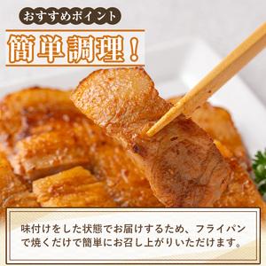 ふるさと納税 isa505 鹿児島産 メルティーポークロース味噌漬け(計800g・100g×8枚)  国産 ロース みそ パック 豚肉 ぶたにく 豚 肉 詰合.. 鹿児島県伊佐市