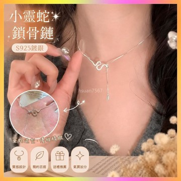 ✨項鏈✨S925鍍銀小靈蛇項鏈2025本命年生肖蛇鎖骨鏈高級感禮物送女友禮物| 海鷗