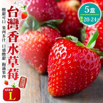 果物樂園-台灣香水草莓L號5盒(20-24入_約400g/盒)