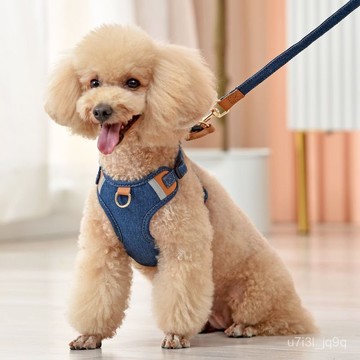 小型犬背心式胸背帶狗狗牽引繩泰迪比熊博美貴賓小狗遛狗繩狗鏈子