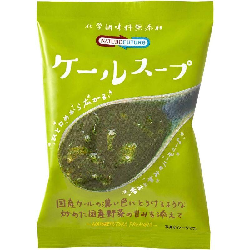 コスモス食品 Nature Future ケールスープ 10.0g ×10袋