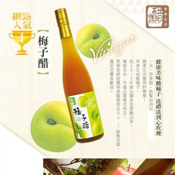 【上班這黨事推薦】醋桶子三年熟成梅子醋x2組(600ml/組)