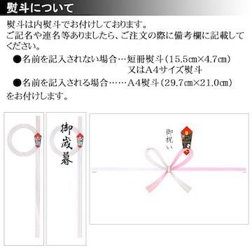 お歳暮ギフト ギフト お誕生日 季節ギフト プレゼント ギフト 干物 のどぐろ あじ 沖ギス 連子鯛 するめいか 計5枚 干物 詰め合わせ