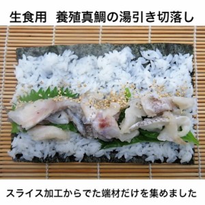 いろんな用途で使用 寿司ネタ 真鯛湯引き切り落とし250g 業務用　生食用 すしねた まだい 養殖 刺身用 海鮮丼 パスタ サラダ 手巻き寿司