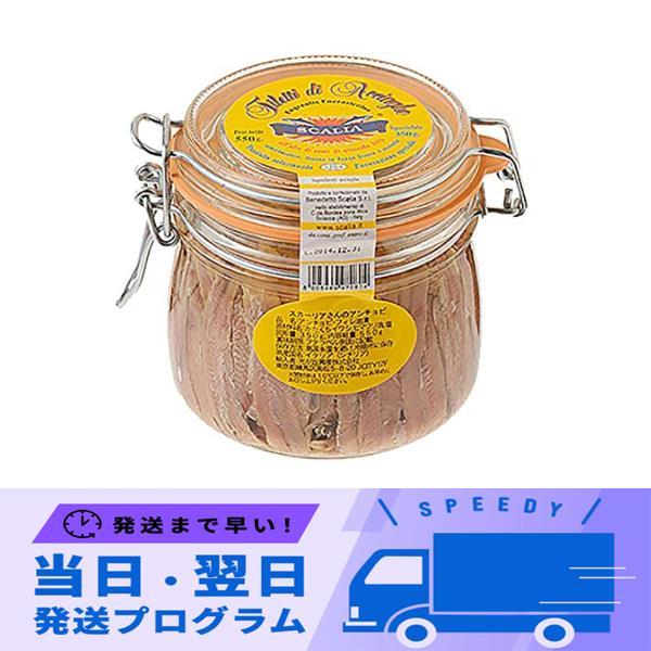 送料無料 スカーリアさんのアンチョビ 550g（固形量 350g）3個セット