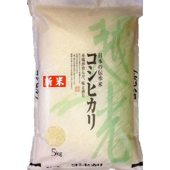 九州の新米 佐賀県上場産 コシヒカリ 5kg 令和5年産