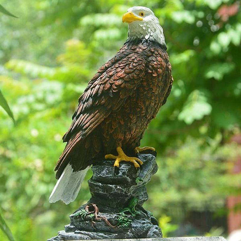 リアルイーグル 鷹 鷲 タカ ワシ 置物 大迫力 効果絶大 30cm 鳥よけ カラス スズメ ハト 害鳥 オブジェ ムクドリ ホーク