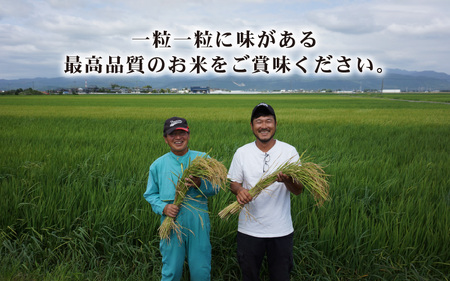 定期便 ≪3ヶ月連続お届け≫  受賞歴多数！福井県 坂井町産 特別栽培米あきさかり 10kg (玄米) [C-4801_02]