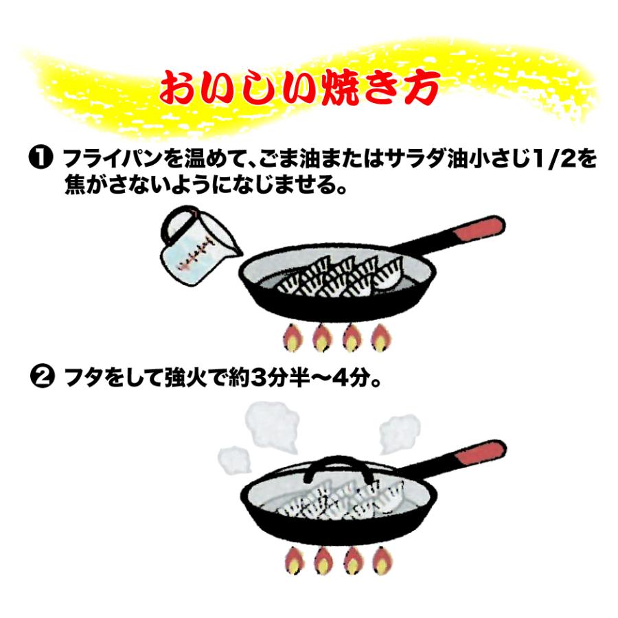 宇都宮餃子会加盟店 宇都宮ねぎにら餃子＆日光しもつかれ餃子 2種 2箱セット 44個入 FN046