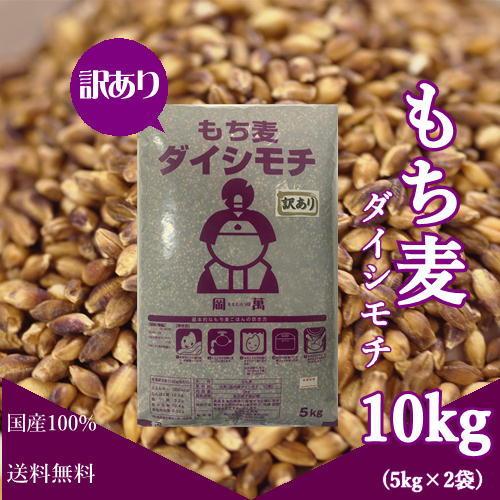  もち麦 ダイシモチ 10kg (5kg×2袋) 紫もち麦  岡山県産 送料無料