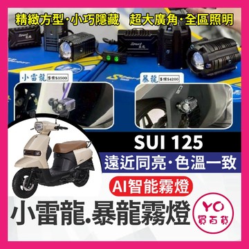 YO買百貨 SUZUKI SUI 小雷龍霧燈 直上套件 暴龍霧燈 隱藏智能霧燈套組 外掛式霧燈 SUI霧燈 霧燈 改裝