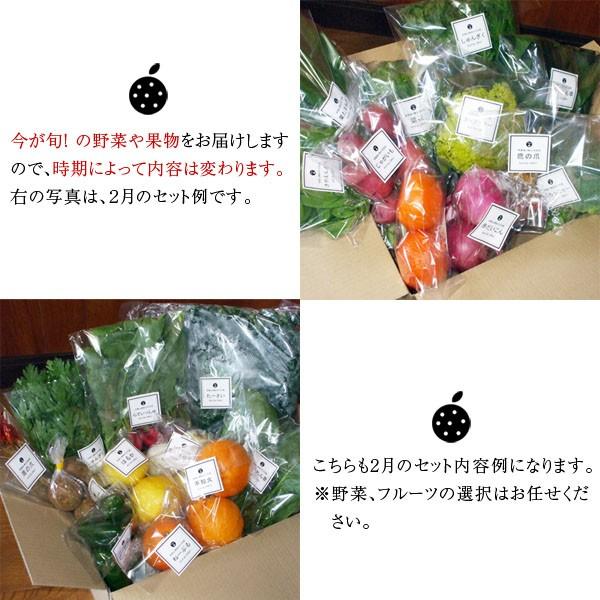 和歌山より産地直送！ おまかせ野菜とフルーツセット 12種類以上［送料無料］■期日指定不可・発送翌日受取限定：お届け時間帯にご注意ください■