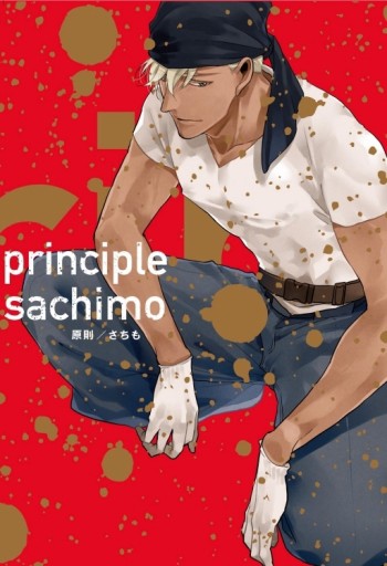 principle 原則（全）[二手書_近全新]