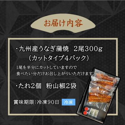 ふるさと納税 松浦市 天保年間創業　祖川真兵衛総本家　鶴屋の炭火焼　九州産うなぎ蒲焼2尾