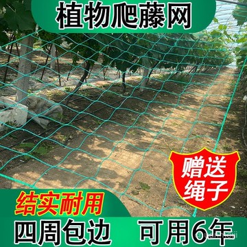 🔥臺灣出🔥爬藤網百香果絲瓜吊瓜葡萄黃瓜花卉月季蔬果菊花攀爬網種植網 圍網 百香果爬藤網 攀爬網 藤蔓植 OKCE