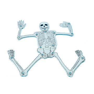 🌈「探夢科學」幼兒童益智玩具 科學實驗 科技小製作自製人體骨骼架模型拼裝材料