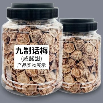 ✨新貨 熱銷 蜜餞 鹹梅 話梅 果乾 休閒零食 正宗九制話梅果乾酸甜泡水特產鹹梅蜜餞休閒零食解饞開胃
